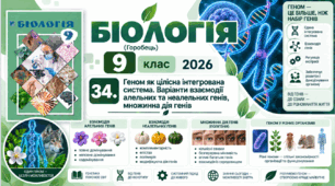Геном як цілісна інтегрована система. Варіанти взаємодії алельних та неалельних генів, множинна дія генів. Презентація, інфографіка, робочий аркуш