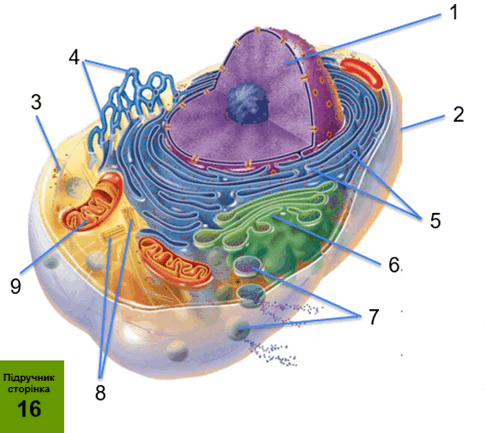 11004l0j-d406-485x433.png