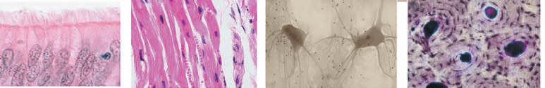 11004le3-512b-940x153.png