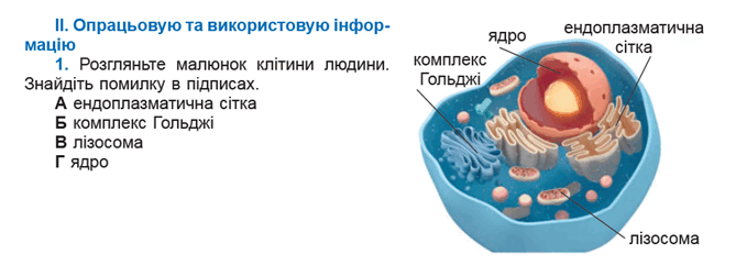 11004lna-824c-862x310.png