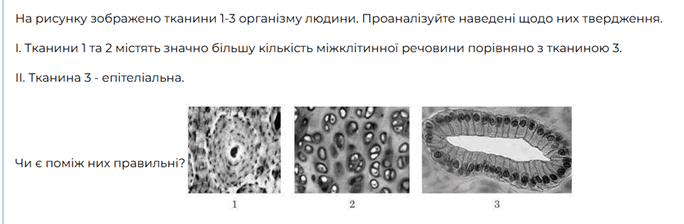 11004m1h-170b-940x308.png