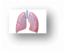 11004m42-bb4d-227x181.png