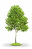 11004m4o-ca60-108x162.png