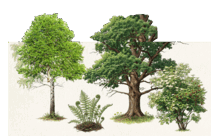 11004m4v-f91e-211x136.png
