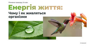 6 клас. Презентація "Чому і як живляться організми" НУШ
