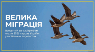 Всесвітній день мігруючих птахів