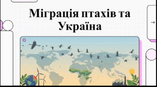 Відеоогляд "Всесвітній день мігруючих птахів"
