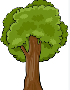 11004r9b-3099-238x306.png