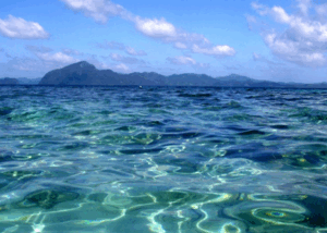 11004r9f-2276-300x214.png