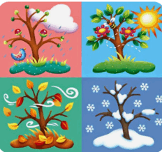 11004rb7-275a-232x218.png