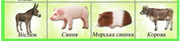 11004re1-9a10-361x83.png
