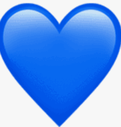 11004rgi-d900-243x256.png