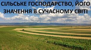 Презентація до уроку: "СІЛЬСЬКЕ ГОСПОДАРСТВО, ЙОГО ЗНАЧЕННЯ В СУЧАСНОМУ СВІТІ"