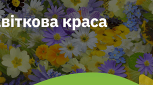 3. "КВІТКОВА КРАСА"
