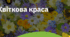 3. "КВІТКОВА КРАСА"