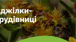 4. "БДЖІЛКИ-ТРУДІВНИЦІ"