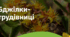 4. "БДЖІЛКИ-ТРУДІВНИЦІ"