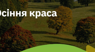 5. "ОСІННЯ КРАСА"