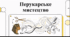 Відеоогляд "13 вересня - День перукаря"