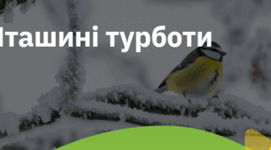 10. "ПТАШИНІ ТУРБОТИ"
