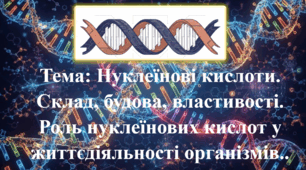 Природничі науки. 11 клас. Матеріали до уроку: Нуклеїнові кислоти. Склад, будова, властивості. Роль нуклеїнових кислот у життєдіяльності організмів.