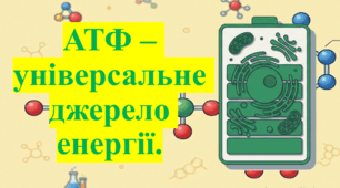 Природничі науки. 11 клас. Матеріали до уроку: АТФ – універсальне джерело енергії.