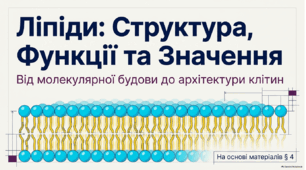 Структура та біологічна роль ліпідів. Дослідження «Виділення та дослідження властивостей ліпідів (олії)»