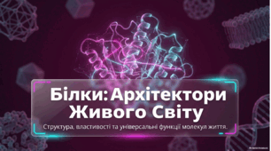 Структура та біологічні функції білків Моделювання просторової структури білка