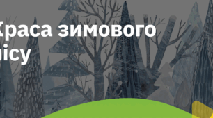 14. "КРАСА ЗИМОВОГО ЛІСУ"