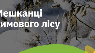 15."МЕШКАНЦІ ЗИМОВОГО ЛІСУ"