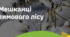 15."МЕШКАНЦІ ЗИМОВОГО ЛІСУ"