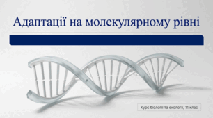 05. Формування адаптацій на молекулярному рівні організації