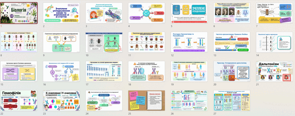 11004xxz-aefd-940x371.png
