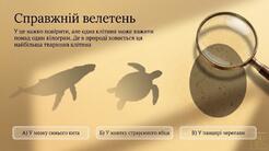 11004xzx-4e8a-246x138.jpg