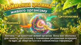 11004xzy-86da-260x146.jpg