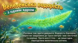 11004xzz-6152-252x142.jpg