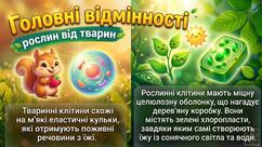 11004y00-c757-242x136.jpg