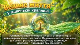 11004y01-34f9-261x147.jpg