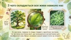 11004y06-5350-244x137.jpg