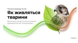 6 клас. Презентація "Як живляться тварини" НУШ