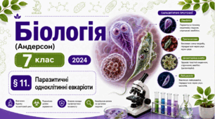 Паразитичні одноклітинні евкаріоти. Презентація, інфографіка, робочий аркуш
