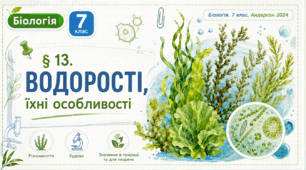 Водорості, їхні особливості. Презентація, інфографіка, робочий аркуш