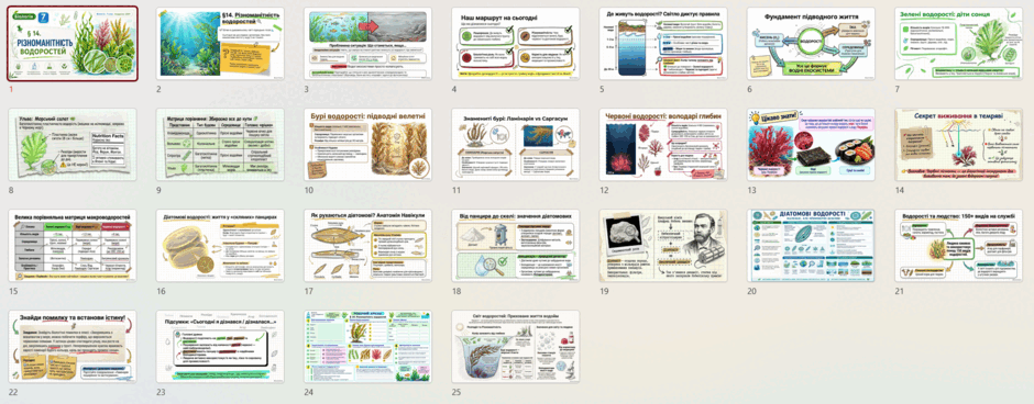 1100503h-c350-940x368.png