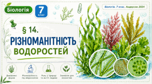 Різноманітність водоростей. Презентація, інфографіка, робочий аркуш