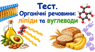 Органічні речовини: ліпіди та вуглеводи.