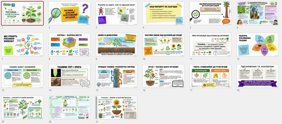 11005111-834c-940x413.png