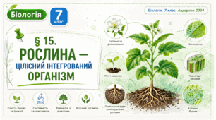 Рослина — цілісний інтегрований організм. Презентація, інфографіка, робочий аркуш