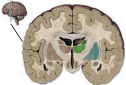 1100513b-11c2-258x174.png