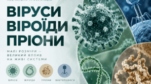 Віруси, бактеріофаги. Віроїди, пріони