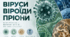 Віруси, бактеріофаги. Віроїди, пріони